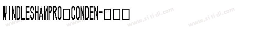 windleshampro conden字体转换